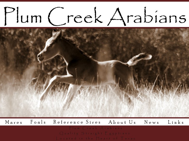 Plum Creek Ranch